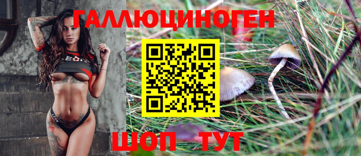 Галлюциногенные грибы Psilocybe Комсомольск-на-Амуре